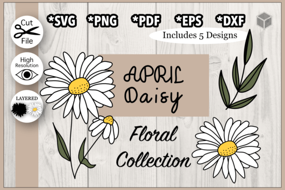 Download April Daisy Flower Illustration Set - Premium Resources