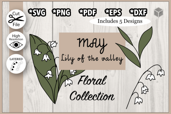 Download May Lily Flower Illustration Set - Premium Resources