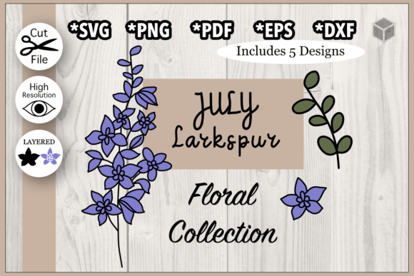 Download July Larkspur Flower Illustrations - Premium Resources