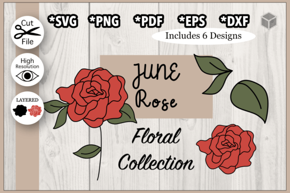 Download June Rose Flower Illustration Set - Premium Resources
