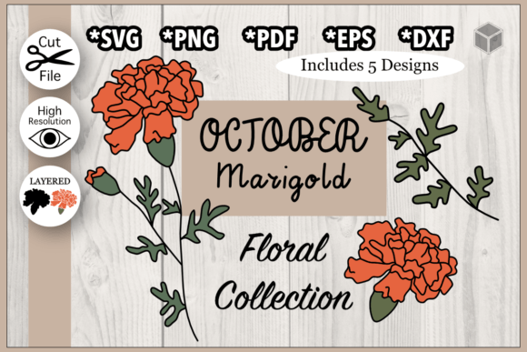 Download October Marigold Flower Illustration Set - Premium Resources
