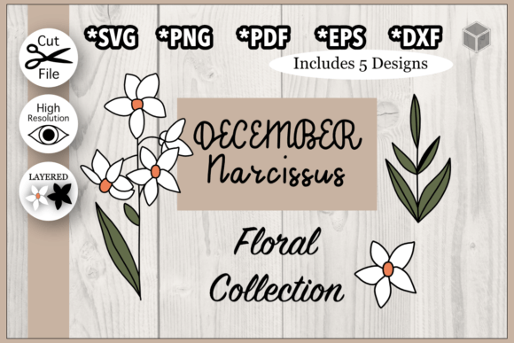 Download December Narcissus Flower Illustration - Premium Resources