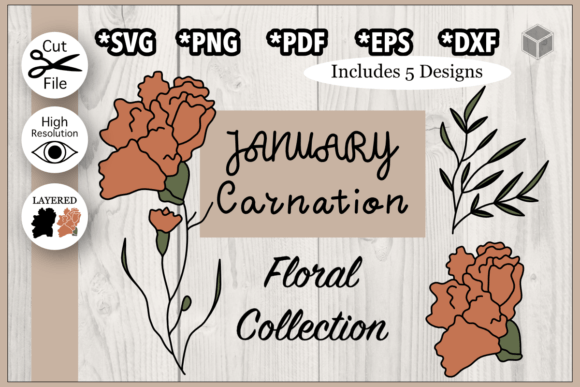 Download January Carnation Flower Illustration - Premium Bundle