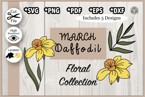 Download March Daffodil Flower Illustration - Premium Resources