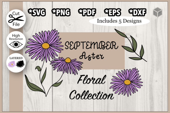 Download September Aster Flower Illustration Set - Premium Resources