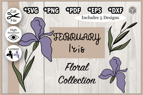 Download February Iris Flower Illustration - Premium Bundle